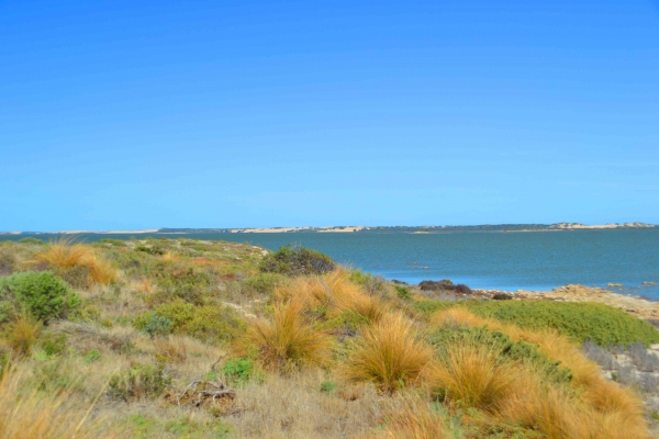 Zdjęcie z Australii - Coorong National Park