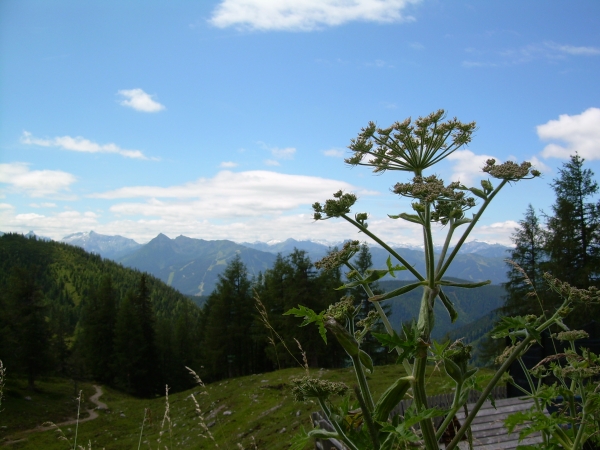 Zdjęcie z Austrii - U podnóża Dachsteinu
