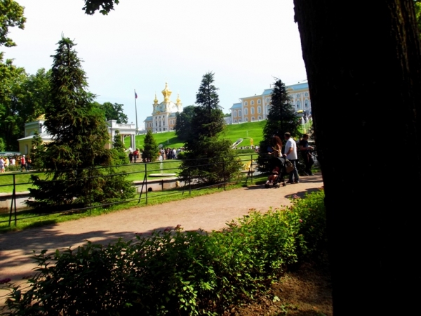 Zdjęcie z Rosji - Peterhof