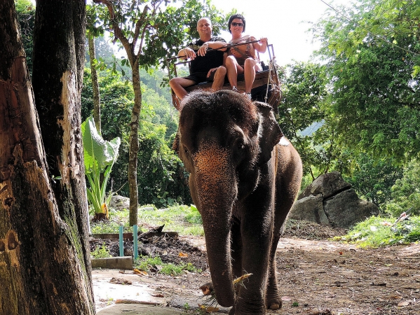 Zdjęcie z Tajlandii - Elephant Trekking