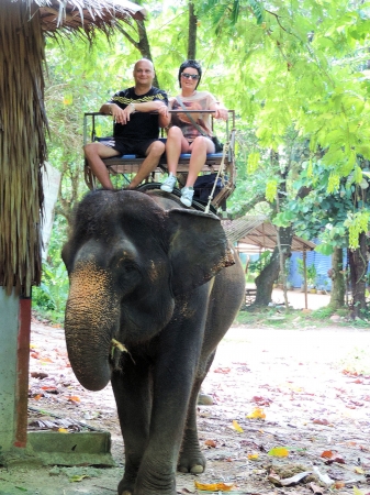 Zdjęcie z Tajlandii - Elephant Trekking