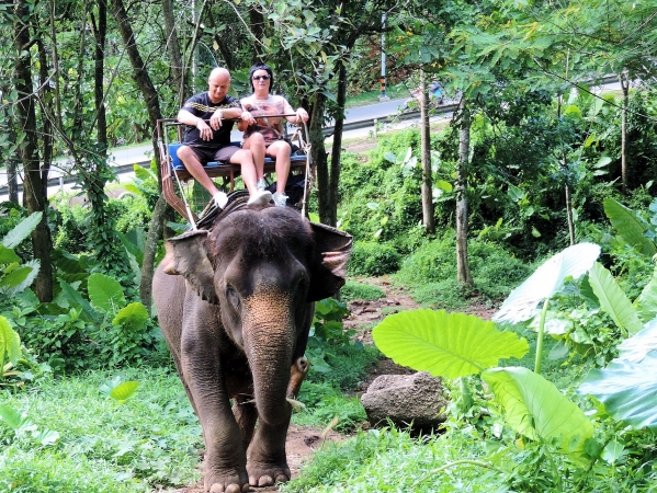 Zdjęcie z Tajlandii - Elephant Trekking