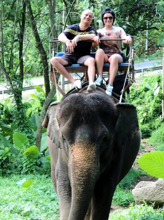 Zdjęcie z Tajlandii - Elephant Trekking