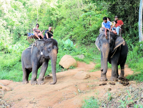 Zdjęcie z Tajlandii - Elephant Trekking