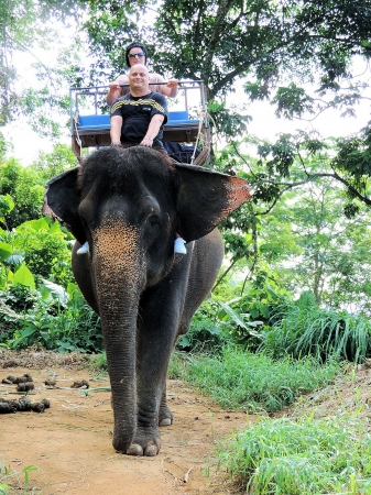 Zdjęcie z Tajlandii - Elephant Trekking