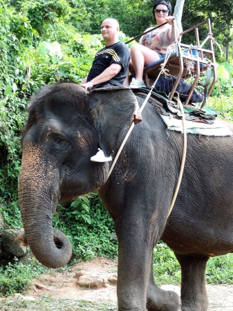 Zdjęcie z Tajlandii - Elephant Trekking