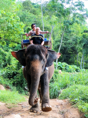 Zdjęcie z Tajlandii - Elephant Trekking