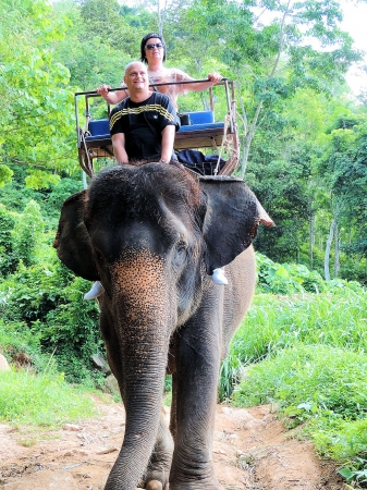 Zdjęcie z Tajlandii - Elephant Trekking