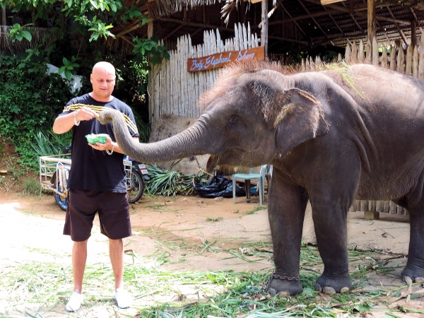 Zdjęcie z Tajlandii - Elephant Trekking