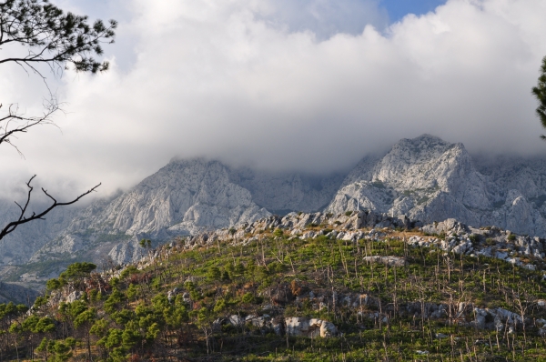 Zdjęcie z Chorwacji - Makarska