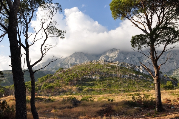 Zdjęcie z Chorwacji - Makarska