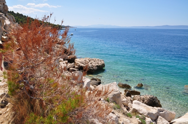 Zdjęcie z Chorwacji - Makarska