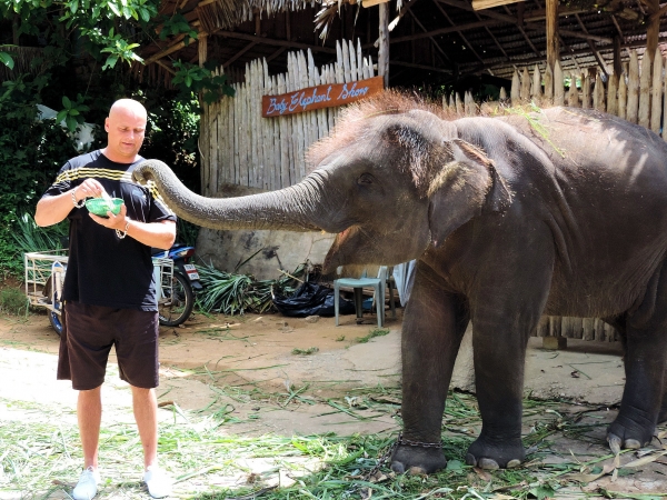 Zdjęcie z Tajlandii - Elephant Trekking