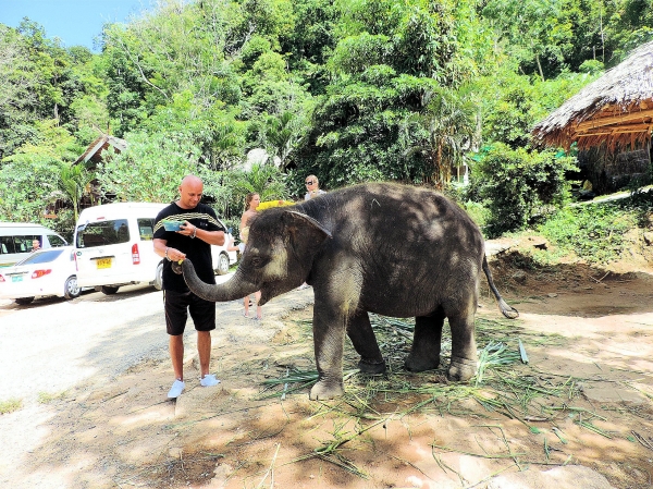 Zdjęcie z Tajlandii - Elephant Trekking