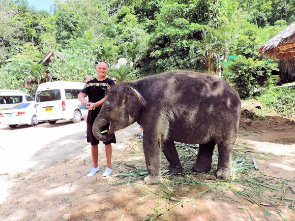 Zdjęcie z Tajlandii - Elephant Trekking