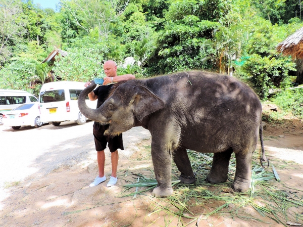 Zdjęcie z Tajlandii - Elephant Trekking