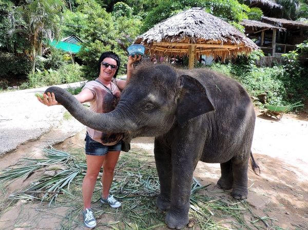 Zdjęcie z Tajlandii - Elephant Trekking