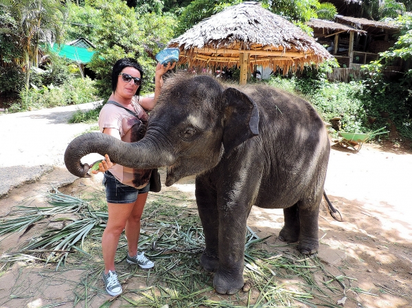 Zdjęcie z Tajlandii - Elephant Trekking