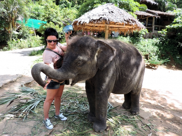 Zdjęcie z Tajlandii - Elephant Trekking