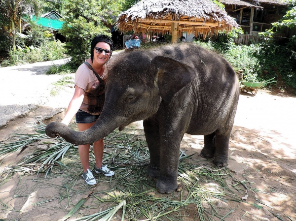 Zdjęcie z Tajlandii - Elephant Trekking