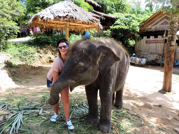 Zdjęcie z Tajlandii - Elephant Trekking