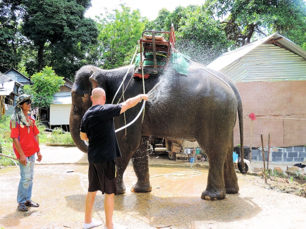 Zdjęcie z Tajlandii - Elephant Trekking