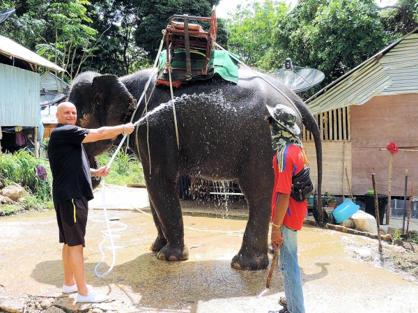 Zdjęcie z Tajlandii - Elephant Trekking