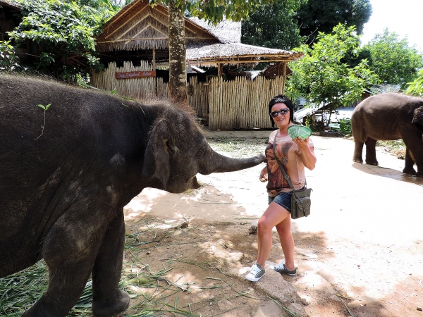 Zdjęcie z Tajlandii - Elephant Trekking