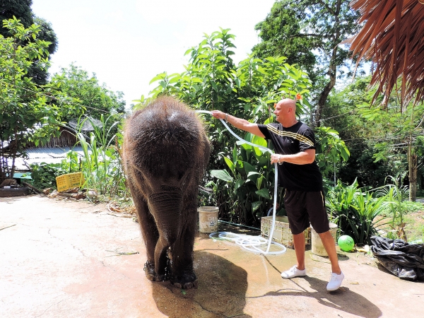 Zdjęcie z Tajlandii - Elephant Trekking