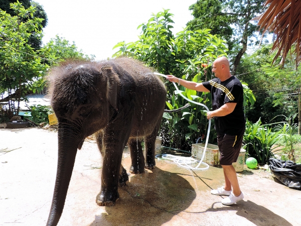 Zdjęcie z Tajlandii - Elephant Trekking