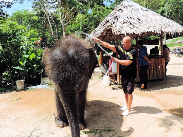 Zdjęcie z Tajlandii - Elephant Trekking