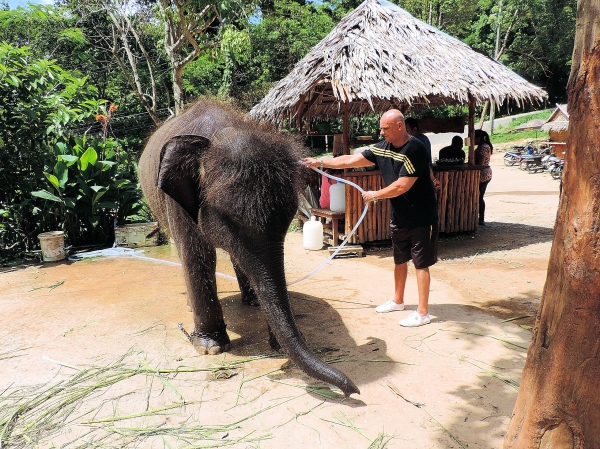 Zdjęcie z Tajlandii - Elephant Trekking