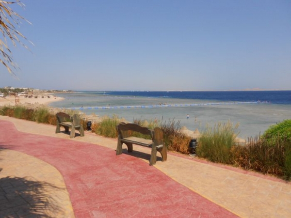 Zdjecie - Egipt - Sharm el Sheikh