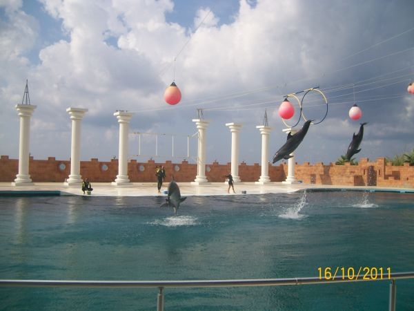 Zdjęcie z Turcji - delfinarium