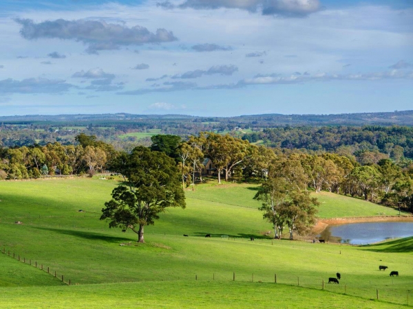 Zdjęcie z Australii - Typowy zimowy 