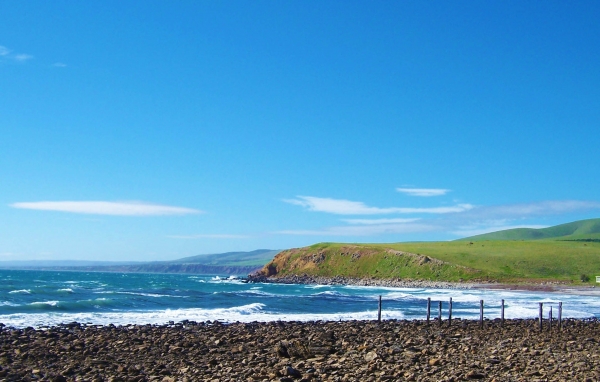 Zdjęcie z Australii - Okolice Myponga Beach