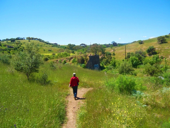 Zdjęcie z Australii - Field River Valley
