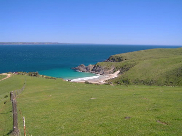 Zdjęcie z Australii - Okolice Cape Jervis