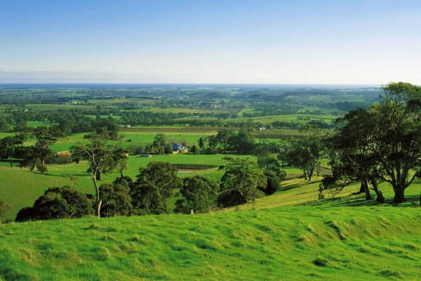 Zdjęcie z Australii - Polwysep Fleurieu