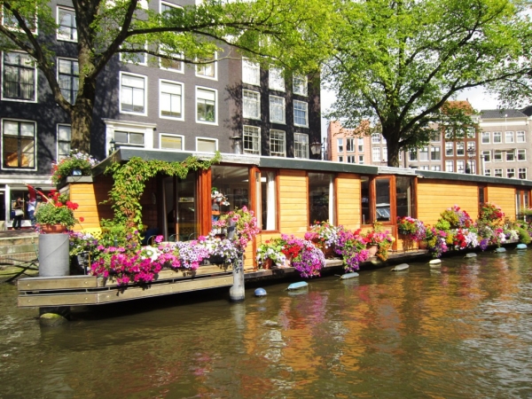 Zdjęcie z Holandii - Amsterdam
