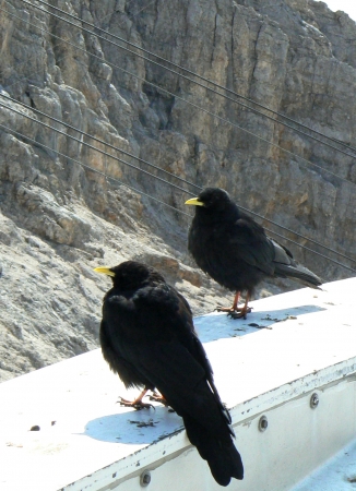 Zdjęcie z Niemiec - na Zugspitze