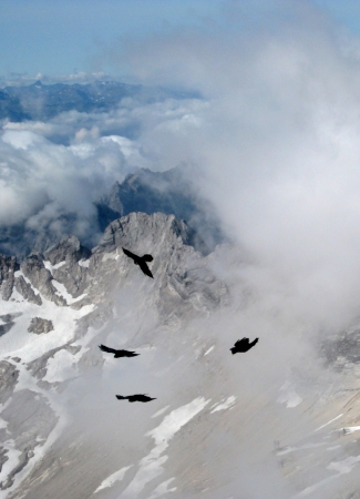 Zdjęcie z Niemiec - na Zugspitze