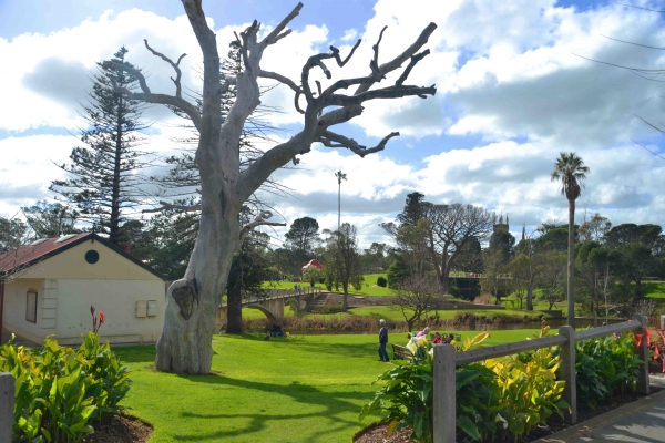 Zdjęcie z Australii - Park miejski- Strathalbyn