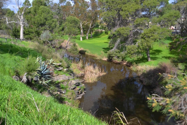 Zdjęcie z Australii - Anzac River