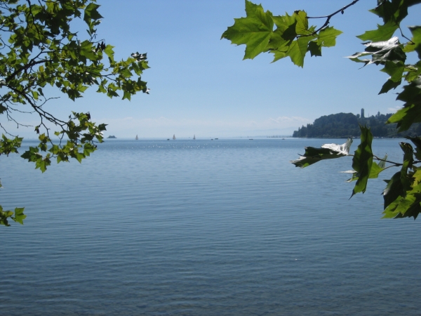 Zdjęcie z Niemiec - Mainau