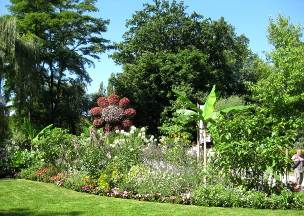 Zdjęcie z Niemiec - Mainau