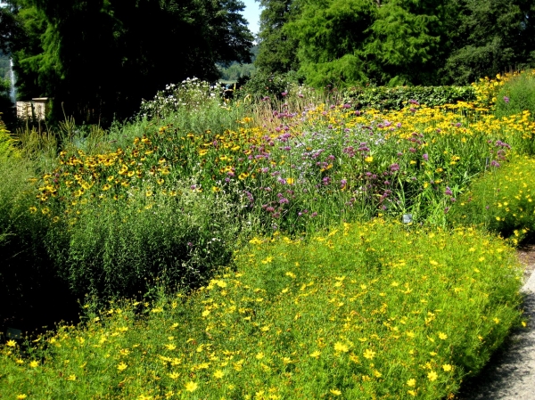 Zdjęcie z Niemiec - Mainau