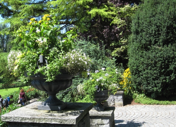 Zdjęcie z Niemiec - Mainau