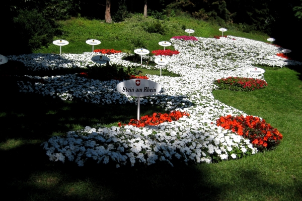 Zdjęcie z Niemiec - Mainau
