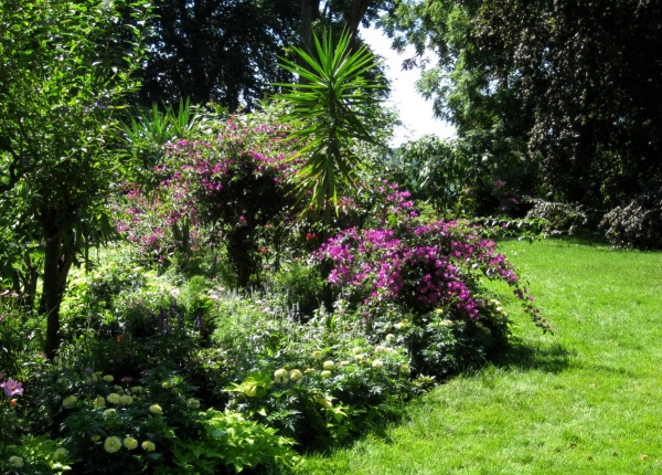 Zdjęcie z Niemiec - Mainau